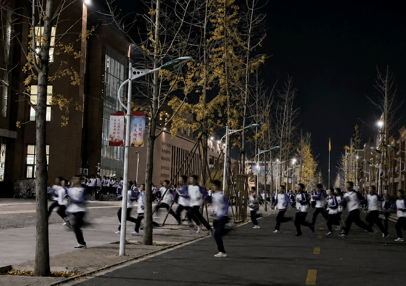 System, Regimes of Control and Resistance by Ting Zhang Hengshui