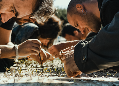 Drought Nursery at SeminAzioni, contrada Manfio, Ruffano, Lecce (Puglia)