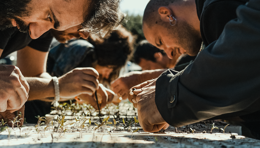 Drought Nursery at SeminAzioni, contrada Manfio, Ruffano, Lecce (Puglia)