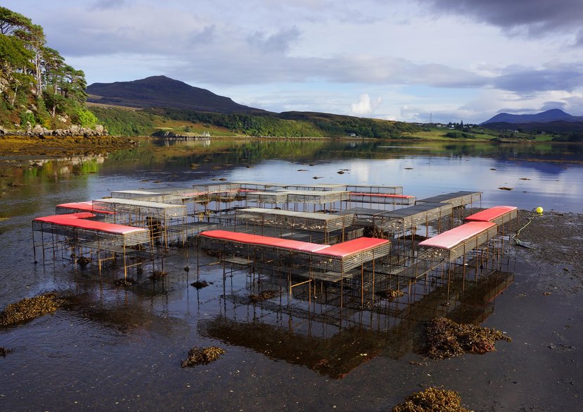 CLIMAVORE: On Tidal Zones. Cooking Sections, 2017-ongoing. Commissioned by Atlas Arts. Isle of Skye, Scotland.