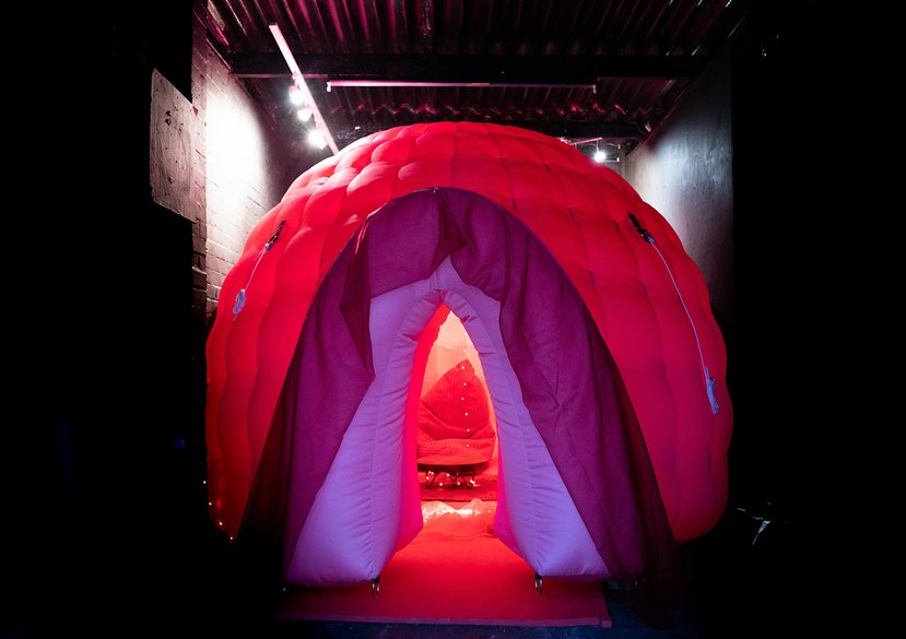 INTER/er:The Intimate Journey Inside the Female Body