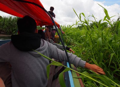 Borneo Field Trip, 2019, Photo: Christina Leigh Geros