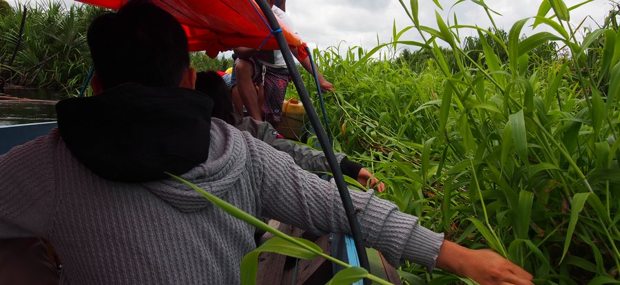 Borneo Field Trip, 2019, Photo: Christina Leigh Geros