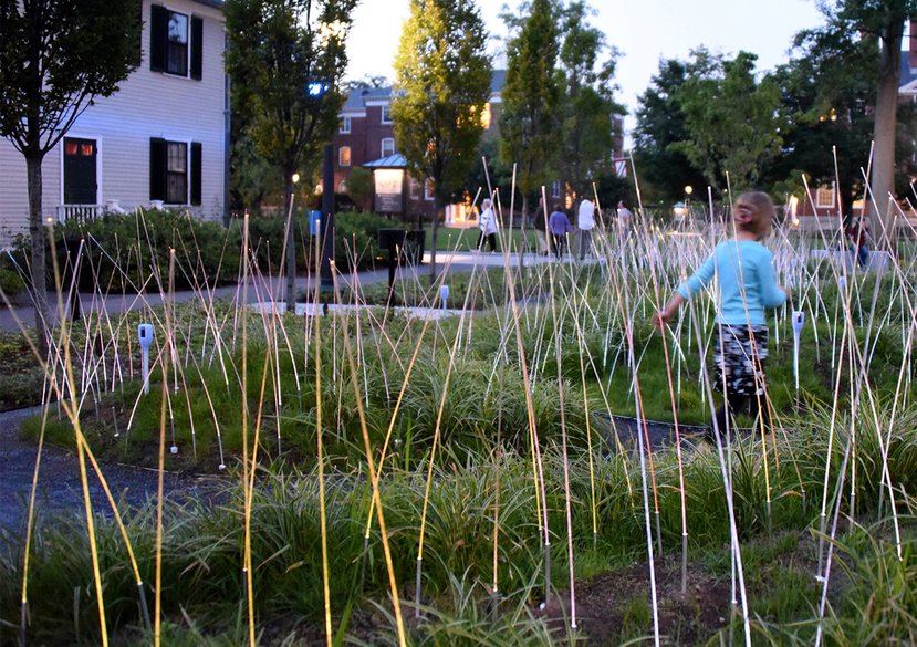 'Latent [e]scapes’ installation