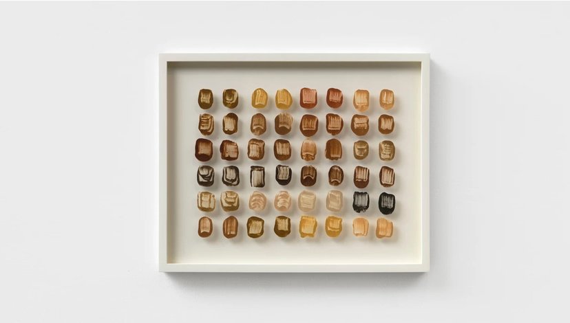 A framed artwork featuring a grid of approximately 48 small, irregularly shaped, organic objects, varying in color from light beige to dark brown, suggesting natural materials like wood or fossilised fragments.