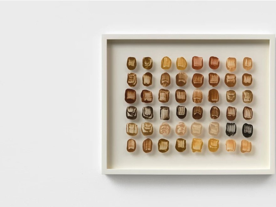 A framed artwork featuring a grid of approximately 48 small, irregularly shaped, organic objects, varying in color from light beige to dark brown, suggesting natural materials like wood or fossilised fragments.