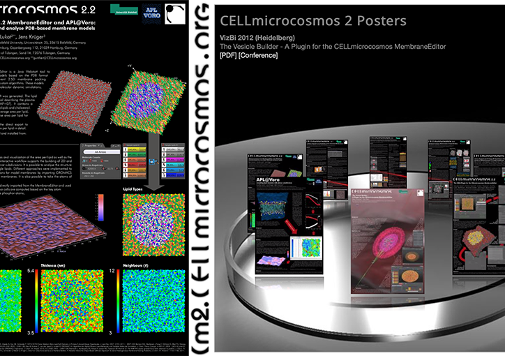 Poster Design and Layout for numerous poster sessions, here: CELLmicrocosmos 2 project