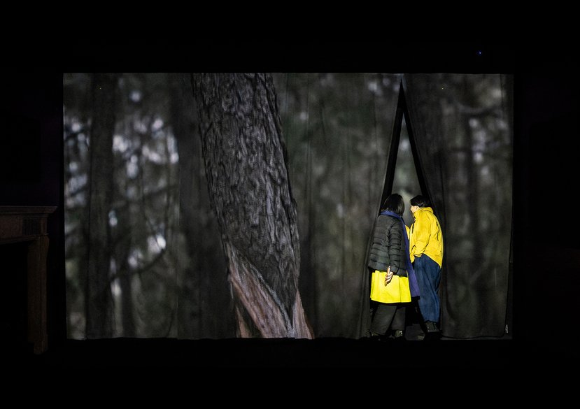 Ripple Ripple Rippling, solo show at Architectural Association, London, 2024