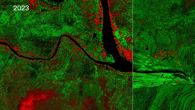 Satellite comparison of a river and its floodplain in 1876 and 2023, showing changes in river morphology and vegetation distribution, with woody vegetation in red and grass and other vegetation in green.