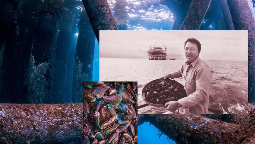 Head of Ecomar Co. Bob Meek, on an offshore oil rig, holding a large container of mussels harvested from its underwater structure, as another rig looms in the distance. Composite: COOKING SECTIONS