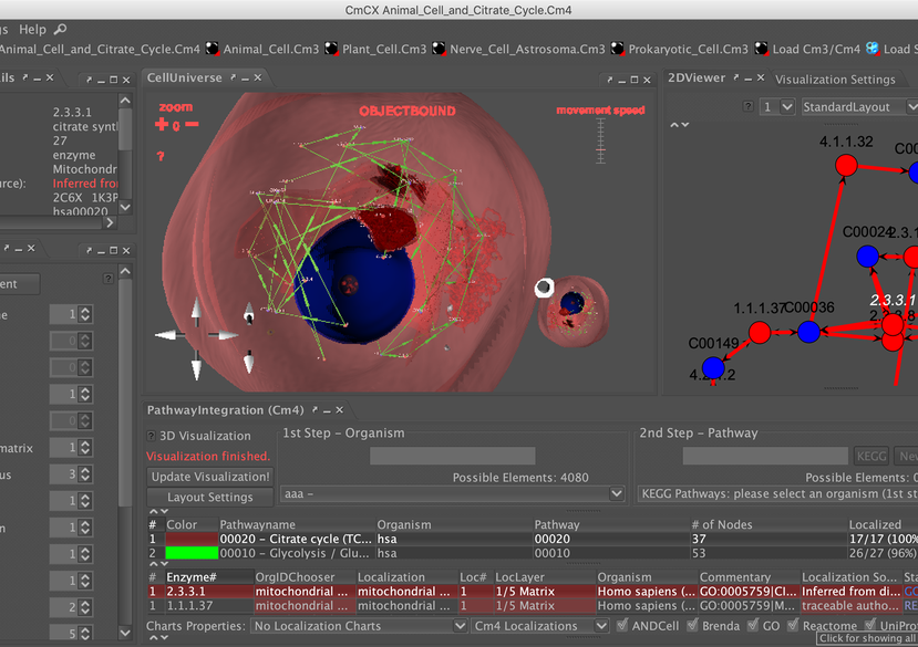 CELLmicrocosmos 4 PathwayIntegration: Java/3D software