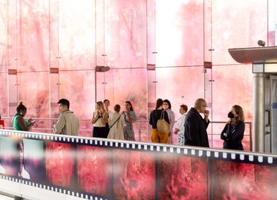 Uncommon Observations: The Ground that Moves Us