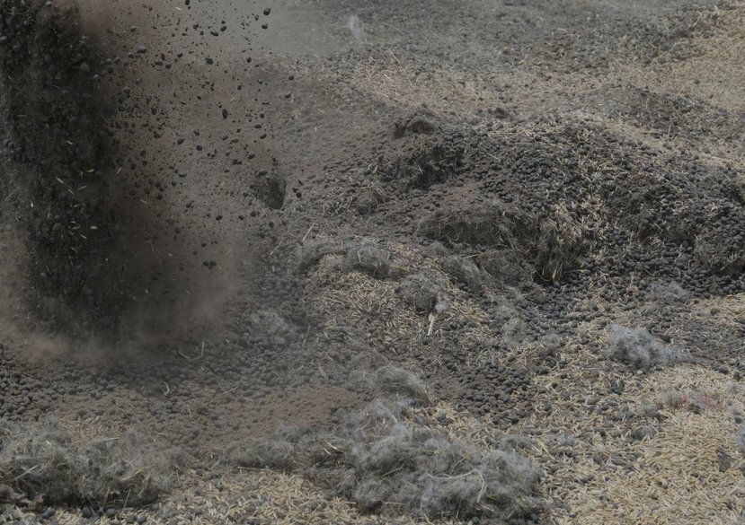 Community-based Seeding Practice