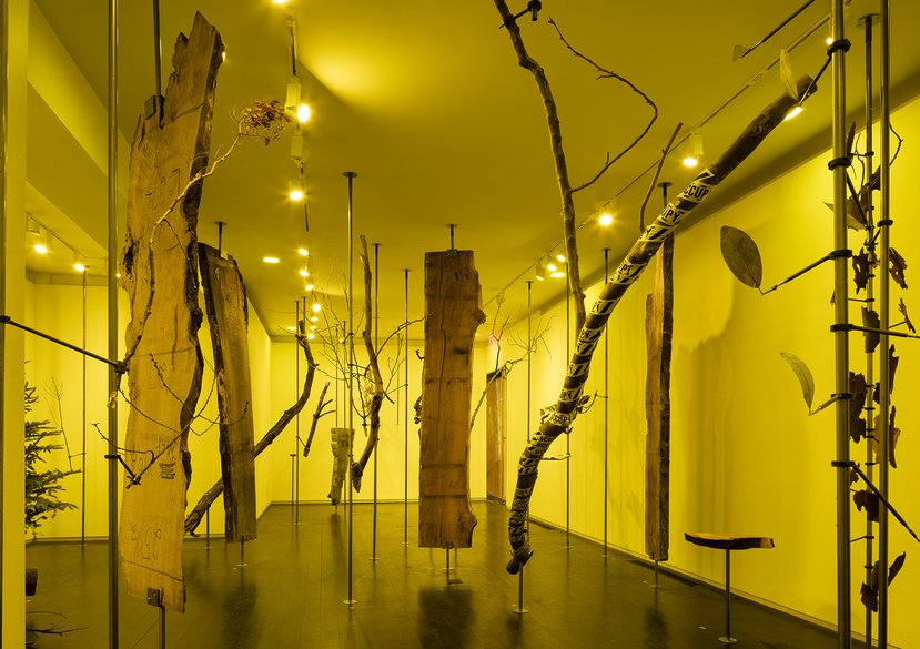 Offsetted. Cooking Sections, 2017. Installation view at Arthur Ross Architecture Gallery, Columbia University, New York. Image: James Ewing.