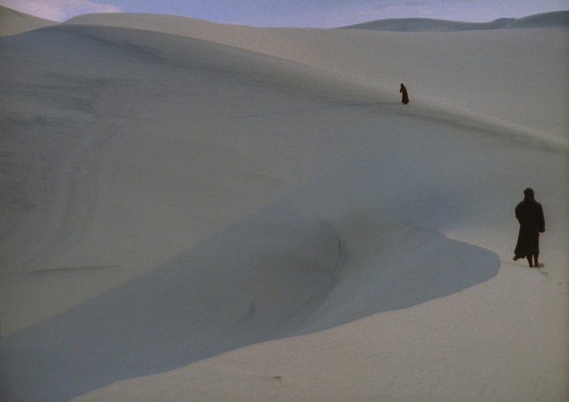 A Distant Echo, USA/UK 2016, 35mm, 82 min, frame enlargement