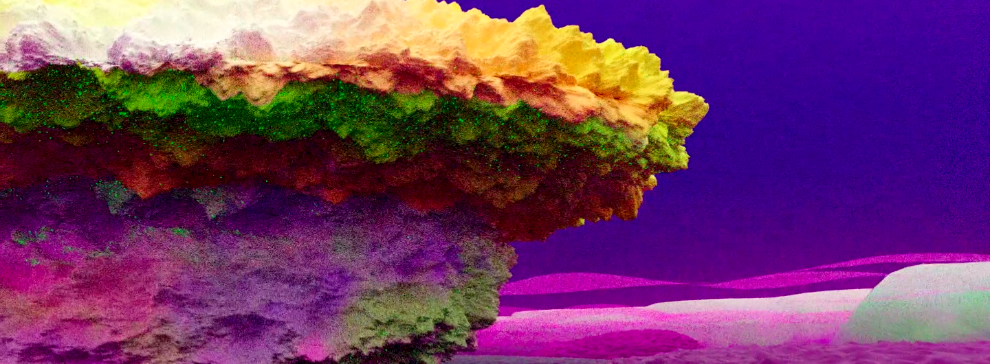 Models of Symbiosis, Salar de Llama, 2020, Mingxin Li