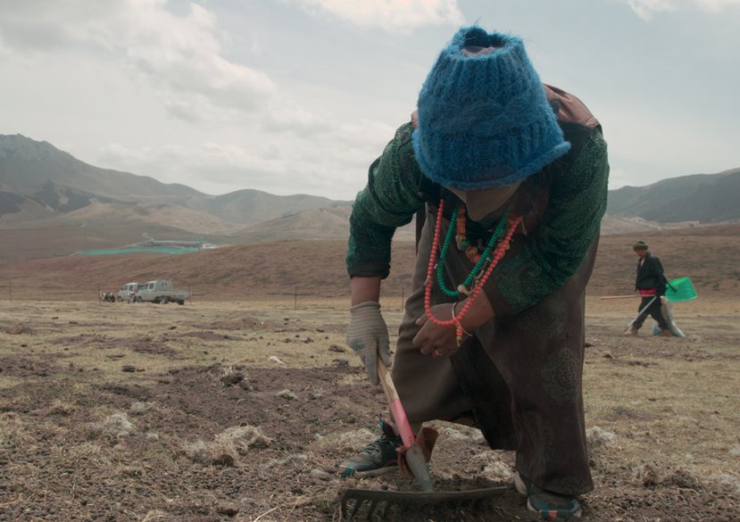 Community-based Seeding Practice, 2025