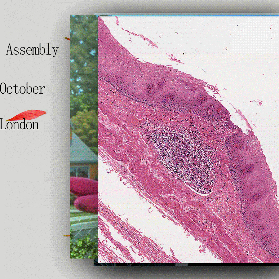 the-5-hour-limit-assembly-royal-college-of-art
