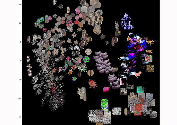 Training Clusters Sonia Bernaciak