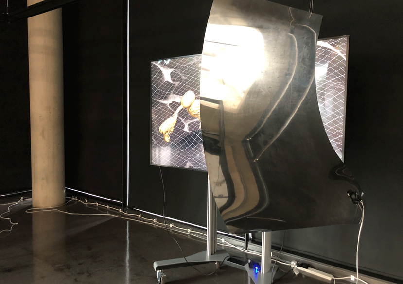 Polymorph II by Jeremy Keenan, Sonia Bernaciak, Maggie Roberst, Johnny-Golding