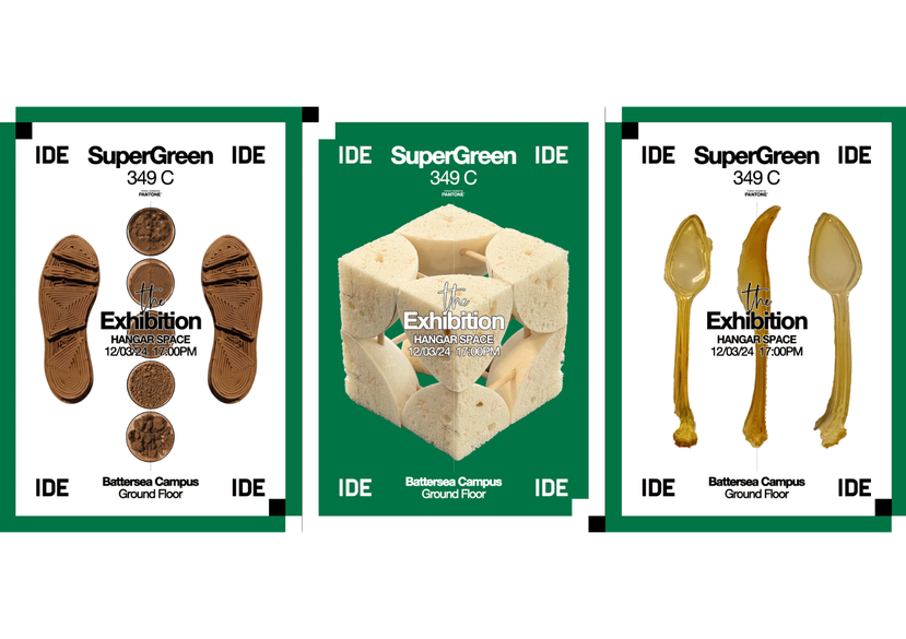 Innovation Design Engineering, Supergreen module 2022–25