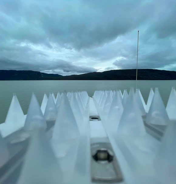NEMO AI Camera Kangerlussuaq, Greenland