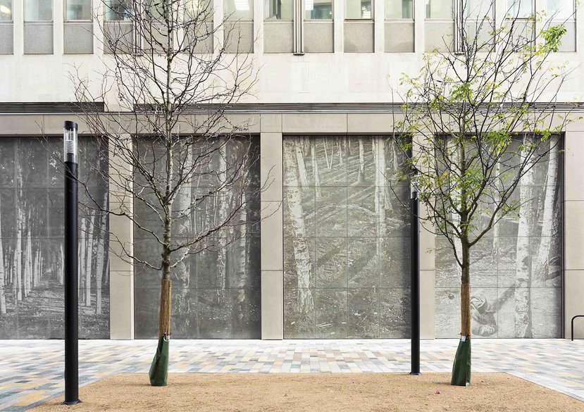 Silver Forest (Panorama), Public Art Work, Victoria, London, 2016