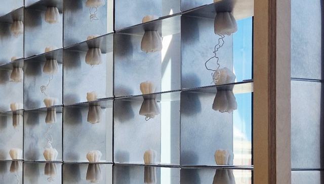 A grid of metallic compartments containing small white tied fabric pouches reflected on reflective surfaces.