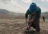 Community-based Seeding Practice02