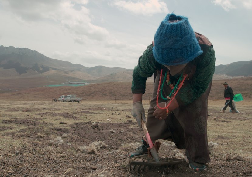 Community-based Seeding Practice02