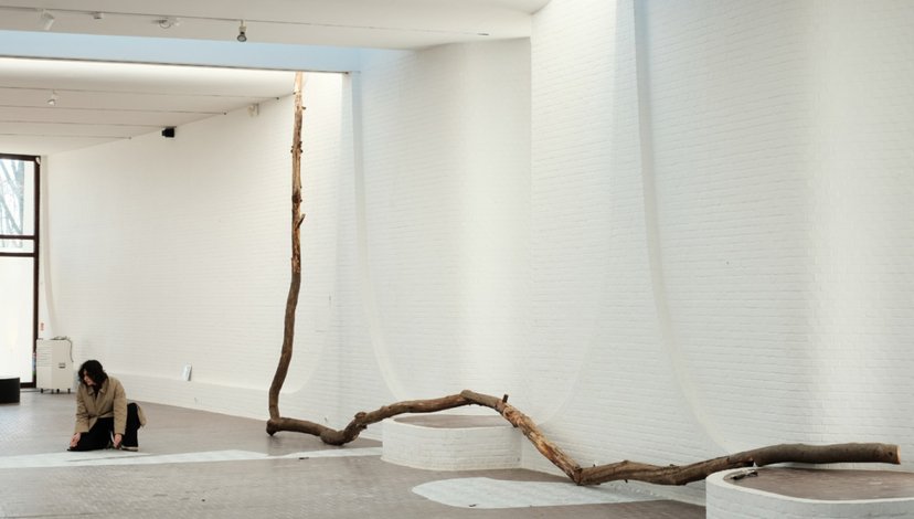 A person kneels on the floor in a minimalist, white-walled gallery space, observing a long, winding tree branch sculpture that extends across the floor and up one wall.