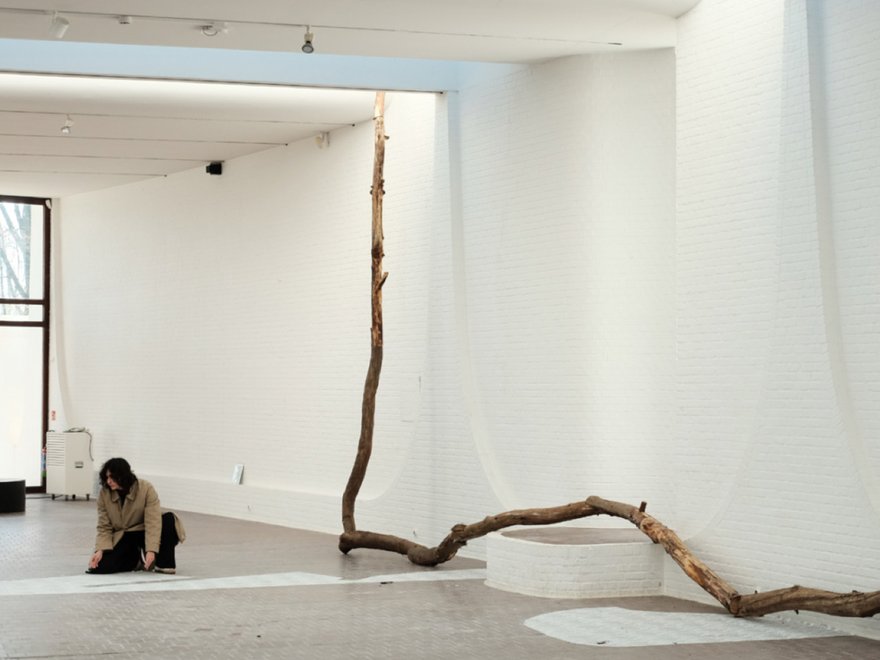 A person kneels on the floor in a minimalist, white-walled gallery space, observing a long, winding tree branch sculpture that extends across the floor and up one wall.