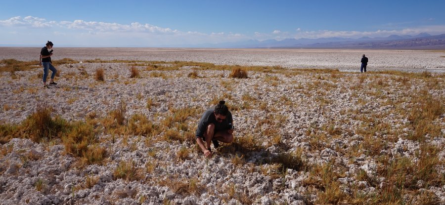 Field trip to the atacama desert