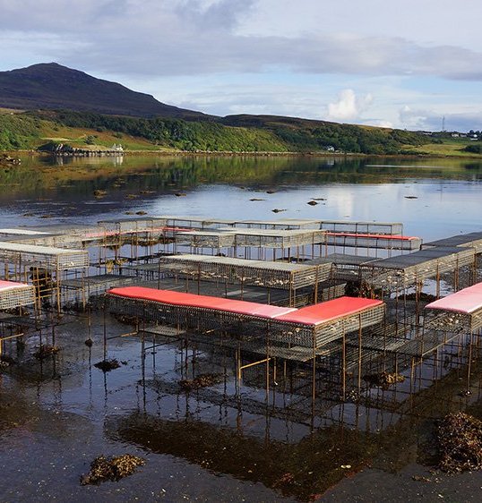 Cooking Sections: CLIMAVORE: On Tidal Zones