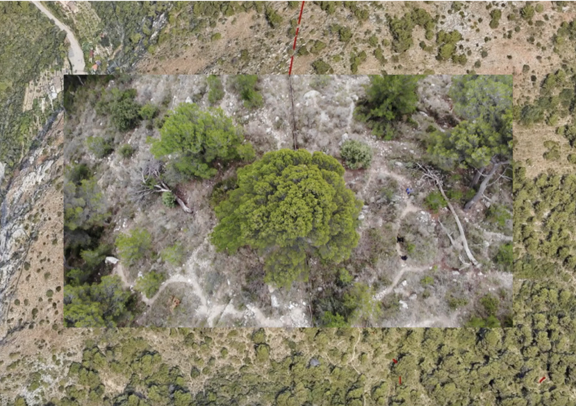 Migrant Trails, still from movie