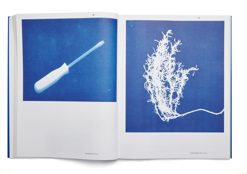 Redevelopment, Silent Grid