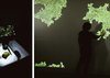 Reciprocal Stories: Moss & Moths, Holdrons Arcade, Copeland Park.