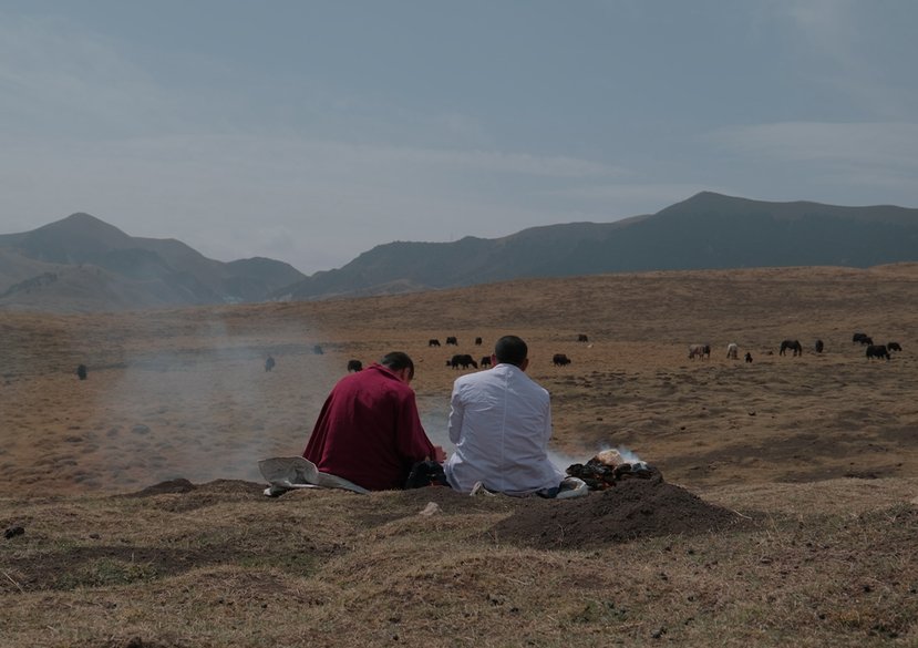 Riturals to Repair the Relationship with More-than-human Matters, 2025