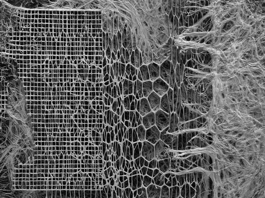 Close up of root system growing through mesh