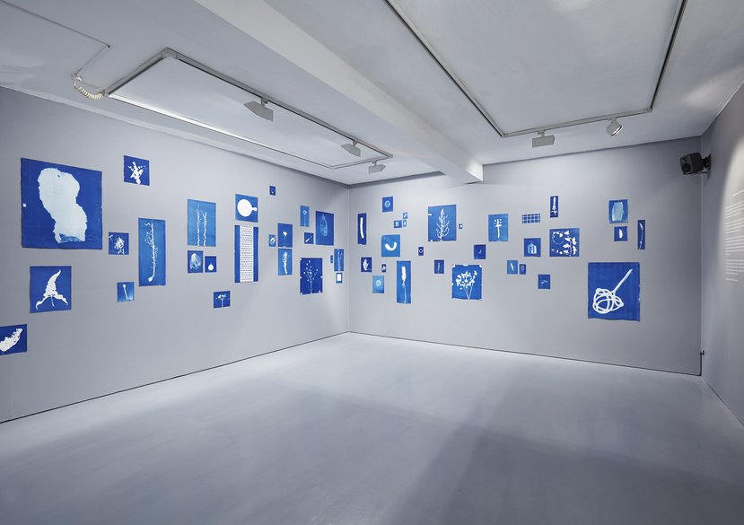 If This Were to Be Lost. Installation at dalla Rosa Gallery, 2016