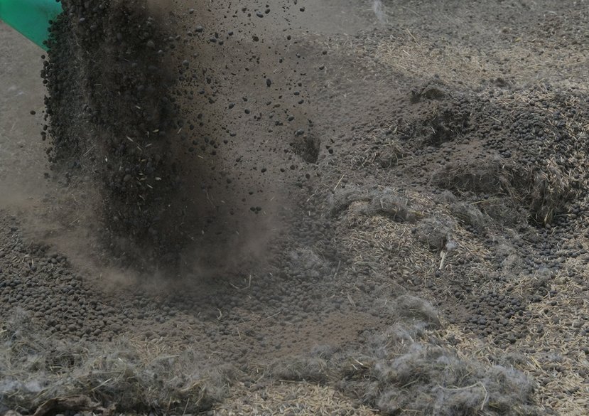 Mixing Local Grass Seeds with Sheep Dung, Wool, and the Seed of Local Barley, 2025