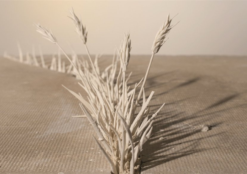 Wilds of 5 Lely Court, Animation Still
