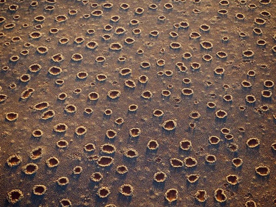 As rainfall decreases, sparse vegetation increases, following specific aridity geometric patterns. The spotlike or labyrinthine plant clusters in shrublands, or the different forms of halophyte associations, may act as early-warning indicators.