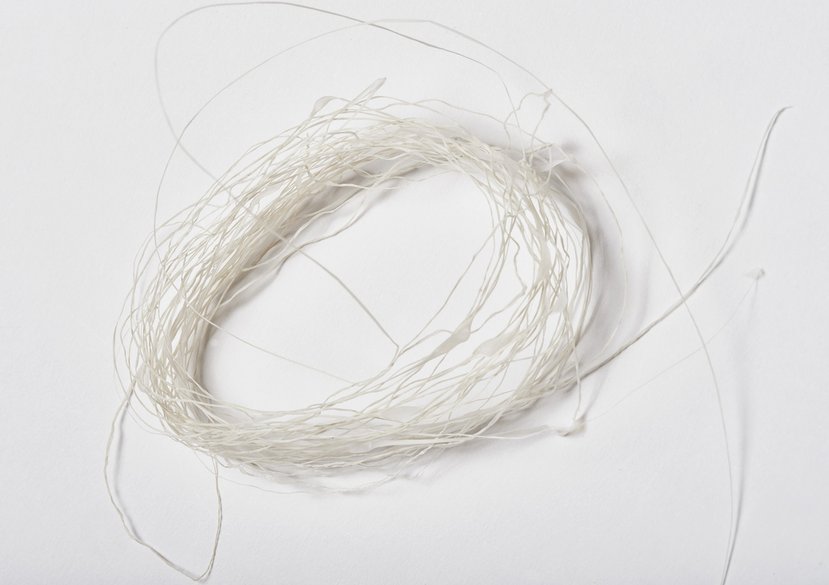 Bio-manufacturing Textiles from Waste