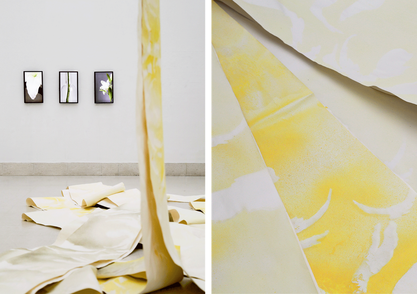 Window in Bloom, Duo-show with Pamela Dimitrov