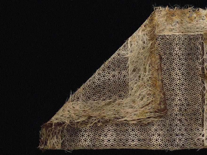 A close-up image of a textile-like material created from plant roots, specifically showing a patterned, woven-like structure formed by manipulated root systems