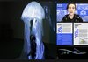 RCA IED POD project 2022 - Navigating Wicked Futures Through More-Than-Human Perspectives: Experiments in design education.