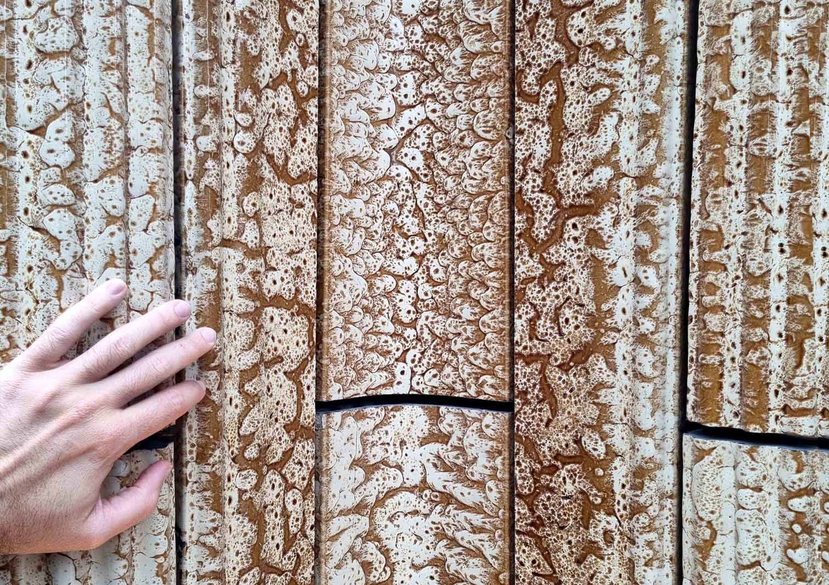 Xi’an CCBD by Heatherwick Studio_Credit Photo: Luis Sacristán Murga