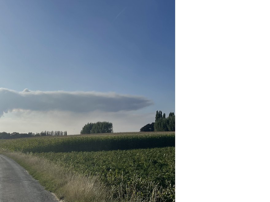 Pastoral landscape, with a path running through a field and a cloud on the horizon.