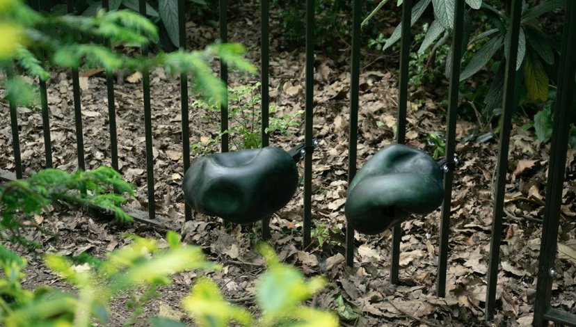 Two dark, irregularly shaped objects, possibly sculptures or natural forms like large stones, are positioned behind a dark metal fence in a garden setting.